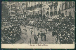 Siena Città Palio Cartolina QQ1810 - Siena