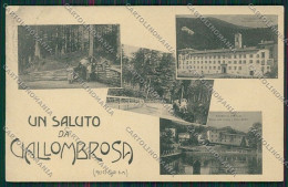 Firenze Vallombrosa Saluti Da ABRASA Cartolina QQ2428 - Firenze (Florence)