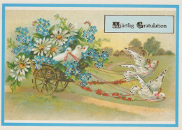 VOGEL Tier Vintage Ansichtskarte Postkarte CPSM #PBR573.DE - Uccelli