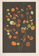 FLOWERS Vintage Ansichtskarte Postkarte CPSM #PAR634.DE - Blumen