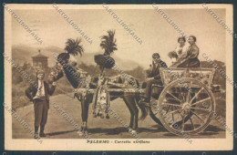 Palermo Carretto Siciliano Asino Cartolina ZT8445 - Palermo