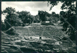 Roma Frascati Tuscolo PIEGHINA FG Foto Cartolina KB5343 - Autres & Non Classés