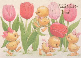 PASQUA POLLO Vintage Cartolina CPSM #PBO941.IT - Easter