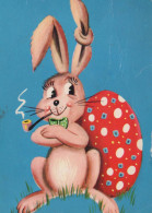 PASQUA CONIGLIO Vintage Cartolina CPSM #PBO377.IT - Ostern