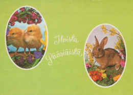 PASQUA CONIGLIO Vintage Cartolina CPSM #PBO564.IT - Easter