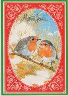 Buon Anno Natale UCCELLO Vintage Cartolina CPSM #PBM810.IT - New Year