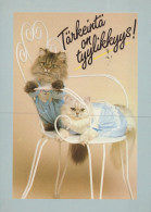 GATTO KITTY Animale Vintage Cartolina CPSM #PAM318.IT - Gatos