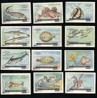 Meurisse - Ca 1930 - 8 - Poissons De Mer, Sea Fish - Full Serie - Autres & Non Classés