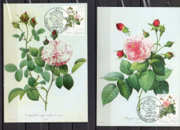 Année 1989 : Carte Maximum 2318-2319 - Roses Redouté - 1981-1990