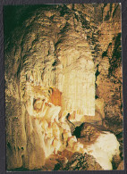 38 Grottes De Sassenage Salle Saint Bruno La Cathédrale - Sassenage