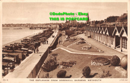 R427486 Weymouth. The Esplanade From Greenhill Gardens. Tuck - World