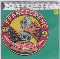 C1121 FROMAGE  FRANCE CREME 8 PORTIONS  RAYMOND GROSJEAN LONS LE SAUNIER JURA 170 Gr 45 % - Fromage