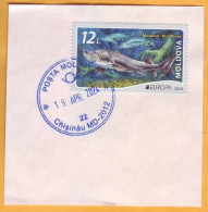 2024 Moldova  Europa 2024. Underwater Flora And Fauna, Fish, Beluga  1v Used, Envelope Clipping - 2024