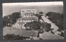 Ile De Porquerolles - Var - Ecole Militaire T.E.R. - Porquerolles