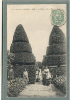 CPA (39) Les PLANCHES - Thème: ARBRE - Aspect Des Ifs Et Thuyas Séculaires En 1910 - Sonstige & Ohne Zuordnung