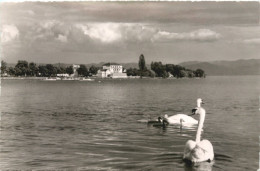 Langenargen Am Bodensee - Langenargen