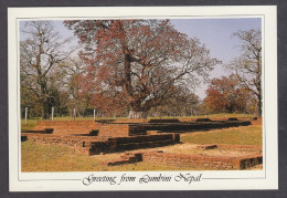 122710/ LUMBINI, Kapilbastu, Where Siddharta Gautama Stayed For 29 Years - Népal