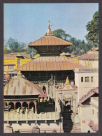 115738/ KATHMANDU, Lord Pashupatinath Temple - Népal