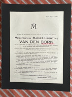 Mejuffrouw Marie-Hubertine Van Den Born *1885 Alken +1949 Hasselt Schreurs Martens Cosemans De Keyser Massoels - Obituary Notices