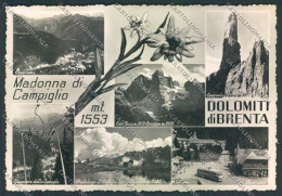 Trento Madonna Di Campiglio Foto FG Cartolina ZF1194 - Trento