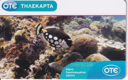 TARJETA DE GRECIA DE UN PEZ  DE COLORES   (PEZ-FISH) - Griekenland