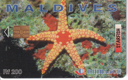 TARJETA DE MALDIVES DE UNA ESTRELLA DE MAR (STARFISH) - Maldivas