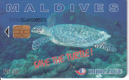 TARJETA DE MALDIVES DE UNA TORTUGA (TURTLE) - Maldiven