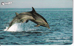 TARJETA DE CROACIA DE UNOS DELFINES (DOLPHIN-DELFIN) - Croacia