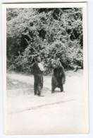 Montreur D'ours Dancing Bear Rare Original Photo Tziganes Roma Bohemes Gipsies - Professions