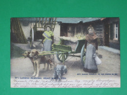 BE2059 Alost Aalst / Laitieres Alostoises / Attelage Chiens Dog Cart Melkmeisje Rare - Aalst