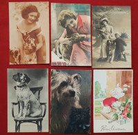 14 Cartes - Chiens, Chien - Perros