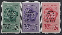 Italy (Imperia) 1945  Liberation (*) MNG - Ungebraucht