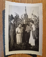 19218.   Fotografia D'epoca Uomo Con Donne Fra Le Vigne 1936 Oglianico Torino - 9,5x6,5 - Personas Anónimos