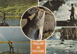 Iceland - Salmon Fishing - IJsland