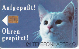 K 351 TARJETA DE ALEMANIA DE UN GATO DE TIRADA 2000 (CAT) CATSAN - K-Series : Serie Clientes