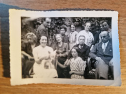 19222.   Fotografia D'epoca Gruppo Persone In Posa Cane Aa ' 30 Italia - 10x7 - Personas Anónimos