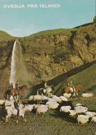 Iceland - Seljalandsfoss Waterfall - Island