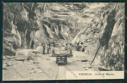 Massa Cave Marmo Cartolina QQ2977 - Massa