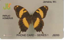 TARJETA DE JAMAICA DE UNA MARIPOSA PAPILIO HOMERUS (BUTTERFLY)  8JAMD - Giamaica