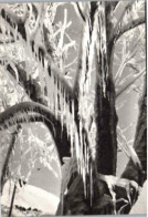 Effet De Glace. Photo B. Grange. Valloire.   1974 - Photographie