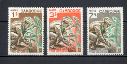 CAMBODGE  N° 175 à 177   NEUFS SANS CHARNIERE   COTE  2.00€     REBOISEMENT ARBRE - Cambodia