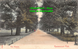 R428484 19645. The Avenue. Ravenscourt Park. Stengel. 1906 - Monde