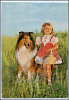 Y2693/ Mädchen Mit Hund  Collie Schöne AK Ca.1965 - Honden