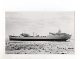 C1537/ Frachter Gulf Auf Hoher See Foto Ca. 1965 22,5 X 13,5 Cm - Commercio