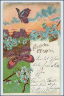 W5W84/ Pfingsten Schmetterlinge 1909 Litho AK - Pinksteren