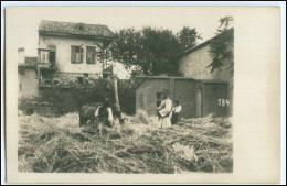 N7881/ Balkan Bosnien  Bauern Foto AK Ca.1915 - Servië
