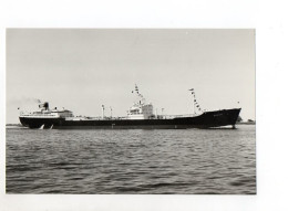 C1367/ Handelsschiff Tanker Mostana Foto 22 X 14,5 Cm Ca.1960-65 - Cargos
