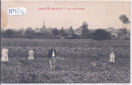 PRECY-SAINT-MARTIN- VUE PANORAMIQUE- DANS UN PRE- RARE VUE ANIMEE - Sonstige & Ohne Zuordnung