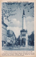 0-73065 01 22 - CHAMBERY - FONTAINE DES ELEPHANTS OU COLONNE DE BOIGNE - Chambery