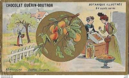 CHROMOS. Chocolat GUERIN-BOUTRON (Paris)  Abricotier, Confits, Compote...S4146 - Guérin-Boutron